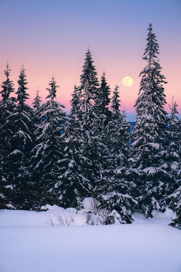 Winter landscape in Carpathians mountains with full moon light at sunset time, Ukraine. Winter landscape in Carpathians mountains with full moon light at sunset time, Ukraine