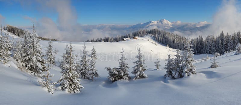 Panorama of the winter landscape in the mountains. Fir forest under snow. Christmas view. Wooden houses of the shepherds. Carpathians, Ukraine, Europe