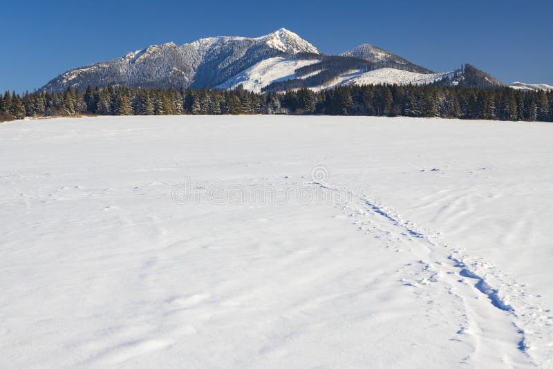 Winter landscape nearby Oravice, Western Tatras Rohace, Slovakia