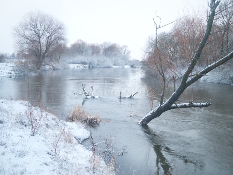 Winter landscape.