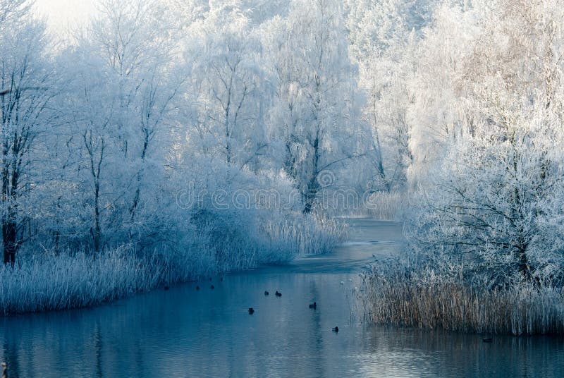 Winter landscape scene