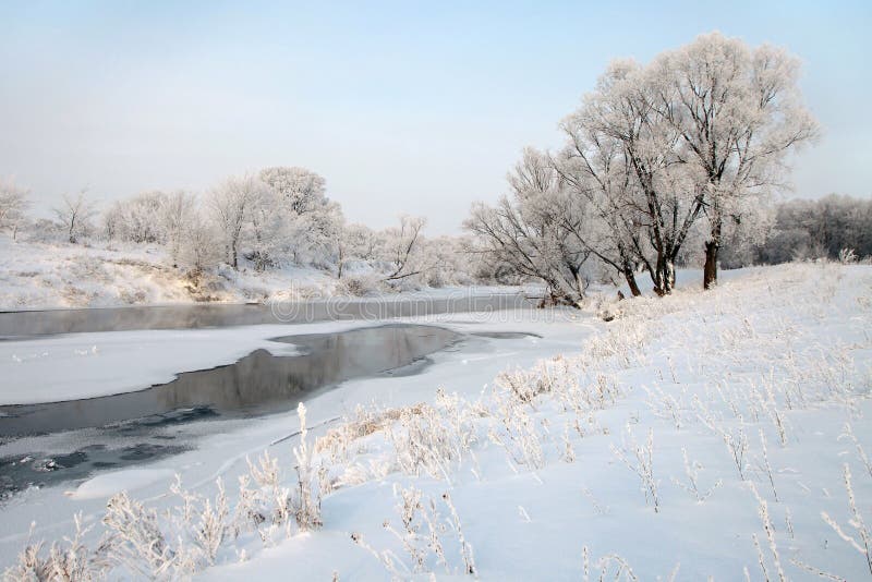 Winter landscape