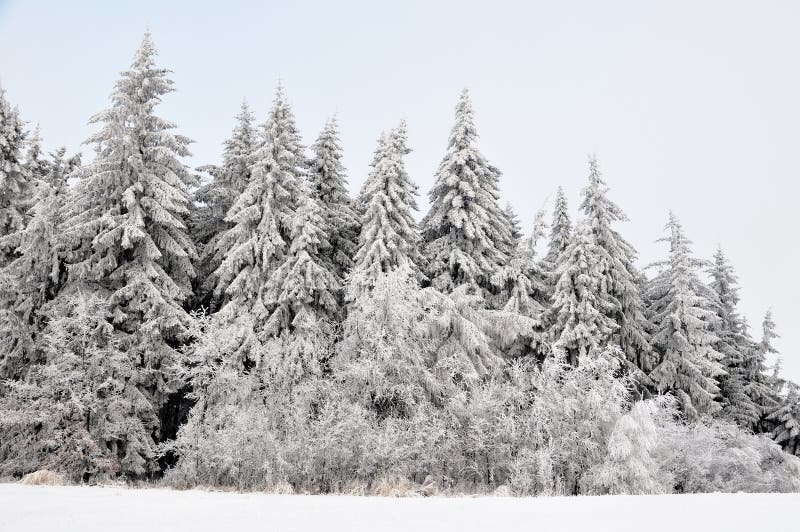 Winter landscape with snow in mountains