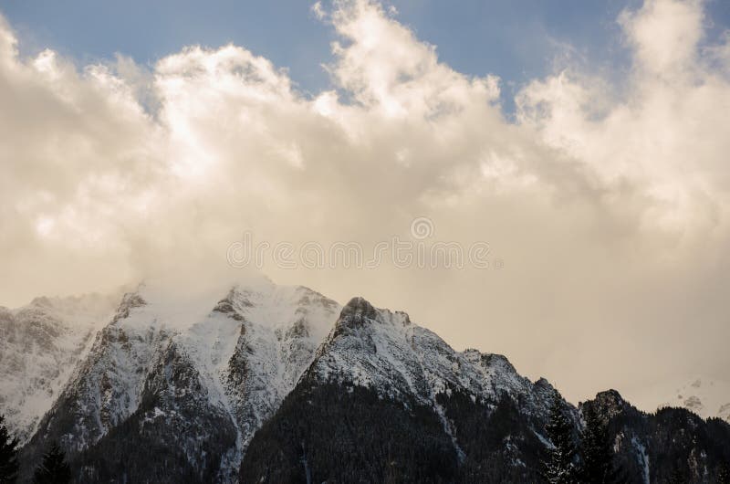 Winter landscape