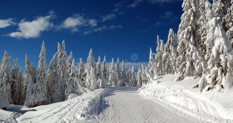 Zimní krajina se sněhem v horách, Slovensko