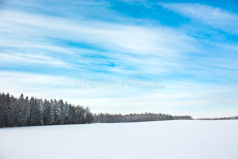 Winter Landscape with Snowy Field and Blue Sky