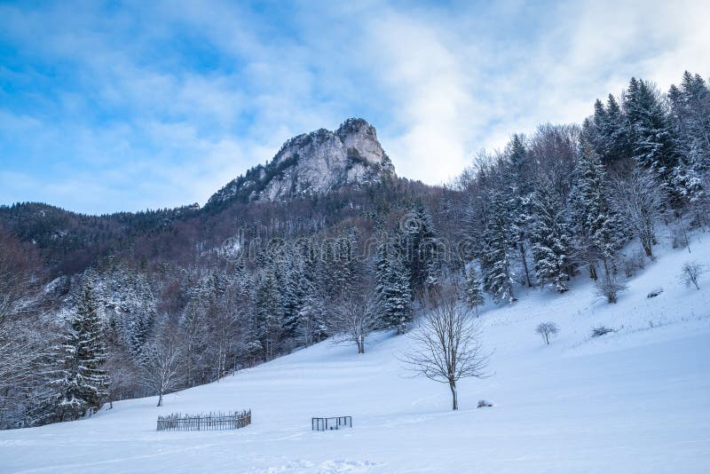 Winter landscape with snowy trees and rocky mountain