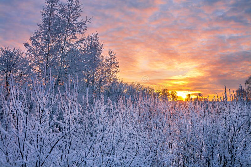 Winter landscape with sunset