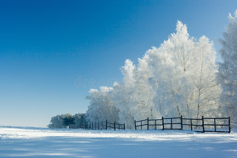 Chladné zimné dni, krásne hoarfrost a rime na stromoch.