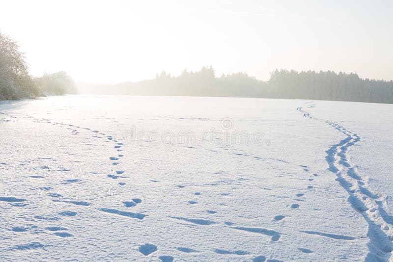 Winter landscape under white snow