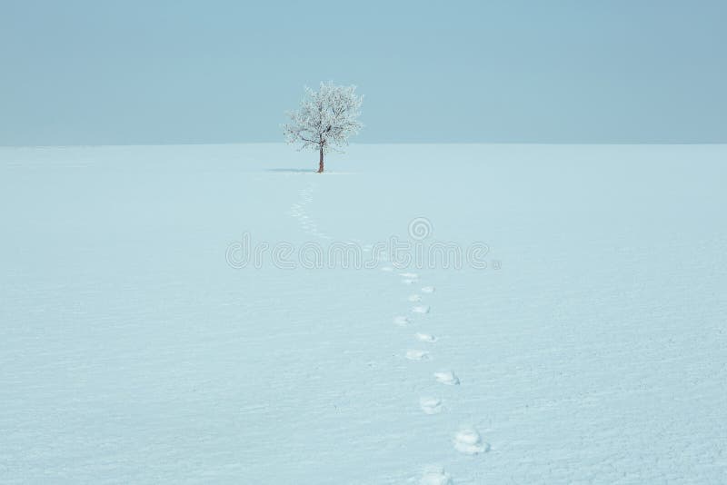 Winter landscape under white snow