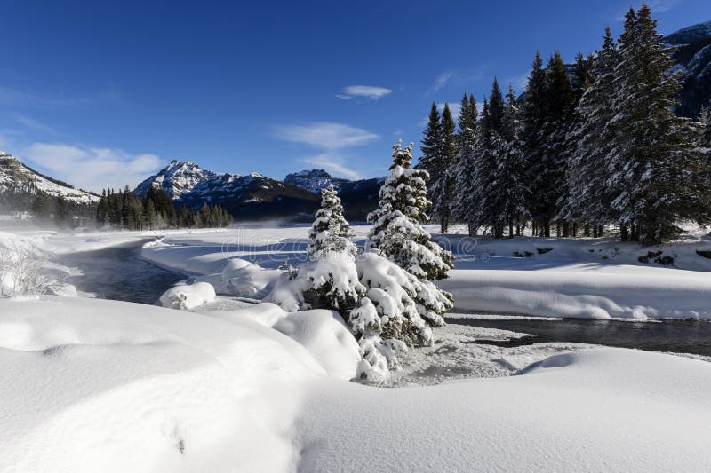 Winter landscape, Yellowstone N.P.