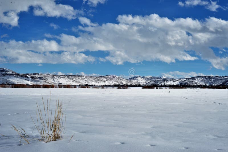 A winter scene outside Park City - Utah - USA. A winter scene outside Park City - Utah - USA