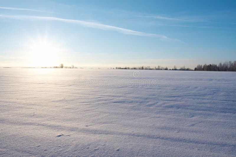 Winter lanscape