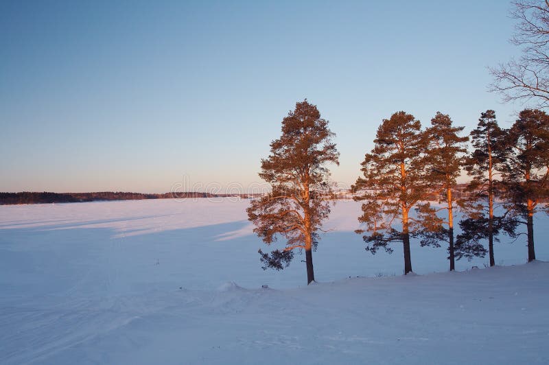 Winter lanscape