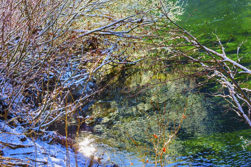 Winter Leaves Snow Ice Abstract Wenatchee River Washington