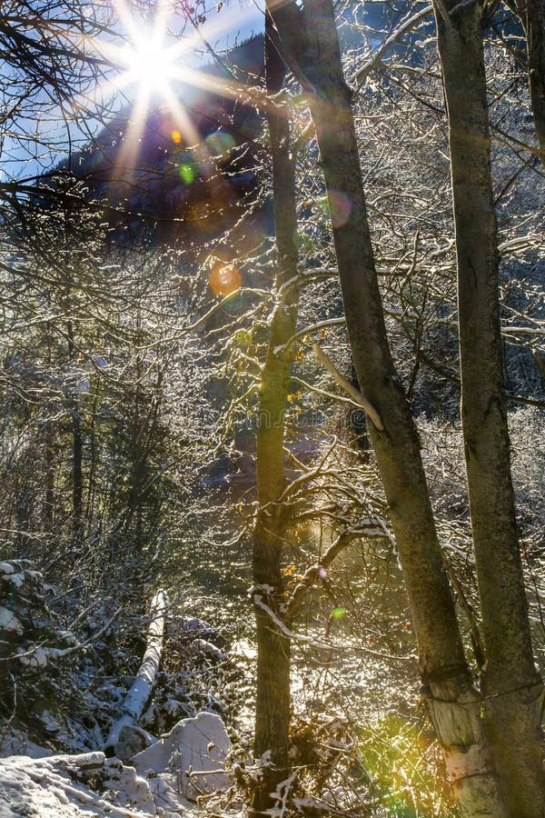 Winter Leaves Snow Ice Sun Wenatchee River Leavenworth Washington