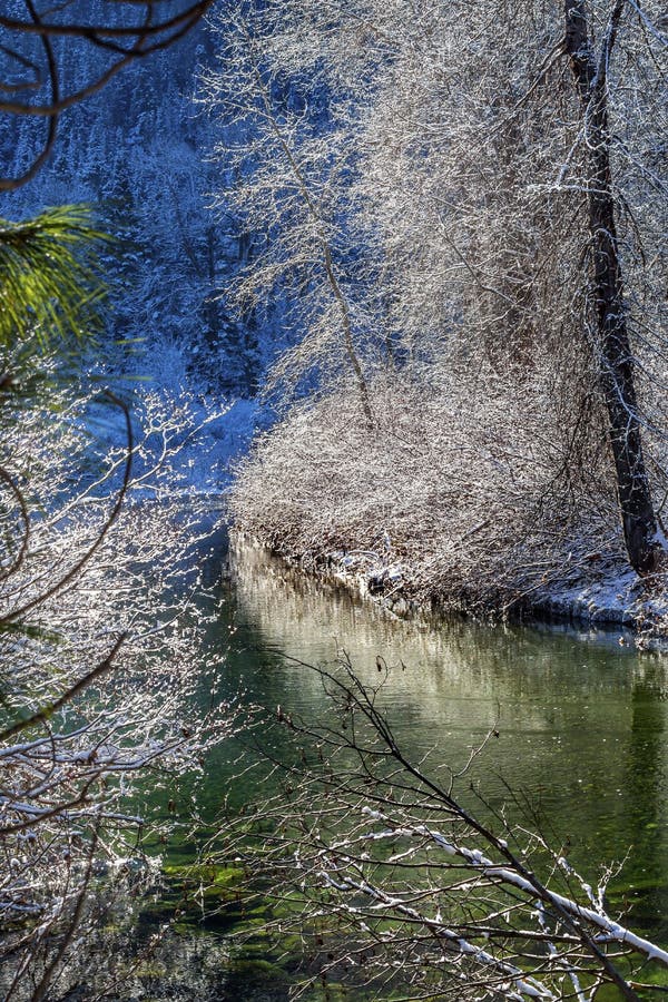 Winter Leaves Snow Ice Wenatchee River Leavenworth Washington