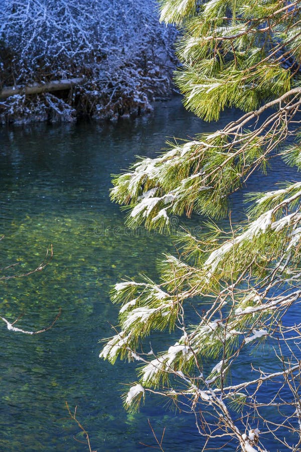 Winter Leaves Snow Ice Wenatchee River Valley Leavenworth Washi