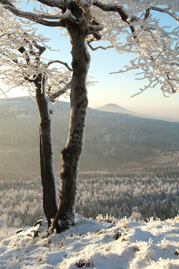 Winter lookout