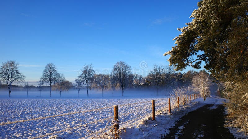 Stock photography assignments: Winter photography - Voting stage ...