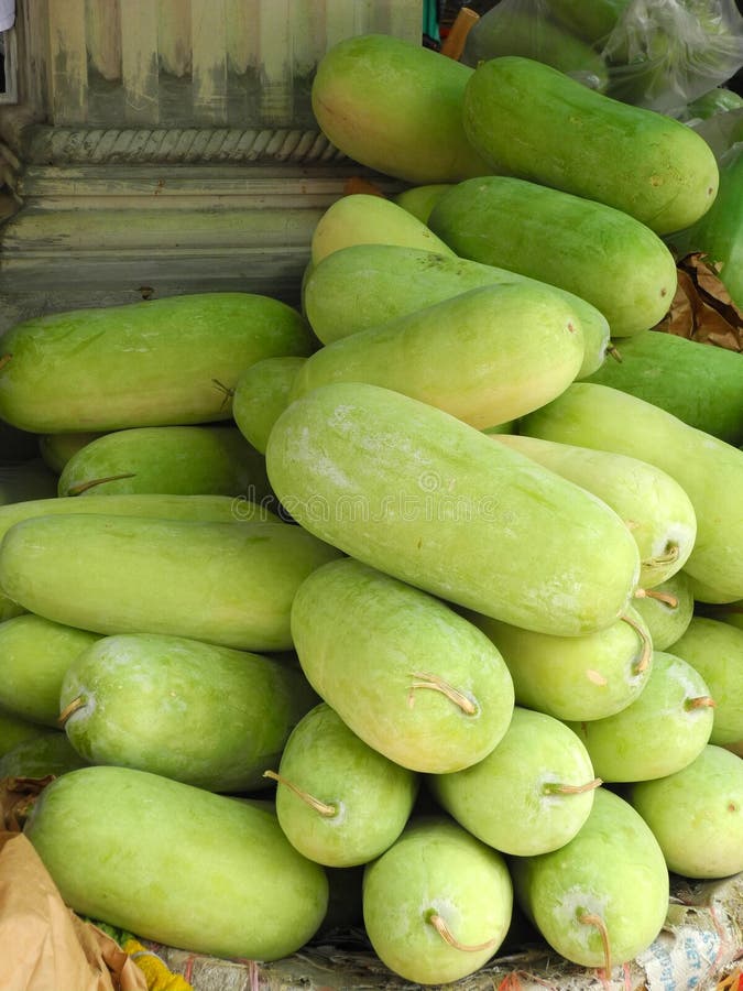 Winter Melons stock image. Image of fresh, natural, vegetable 59741737