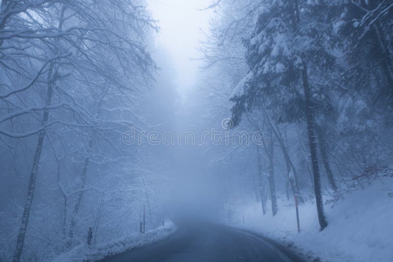 Winter misty road