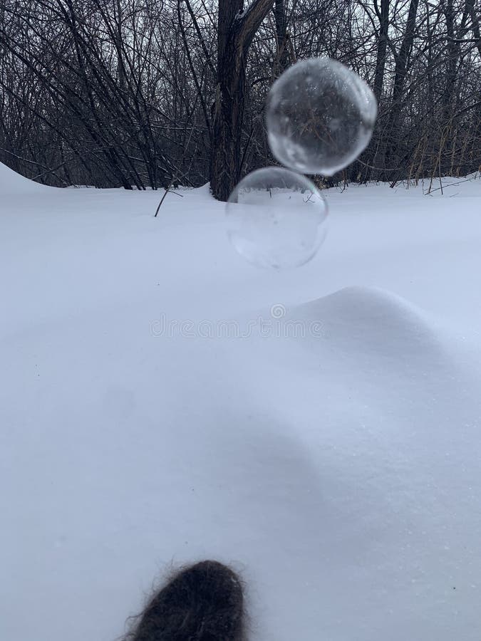 Winter mood with an transparent soap bubble on snow with white and gray background. Soap snowflake stock images, royalty-free photos and pictures
