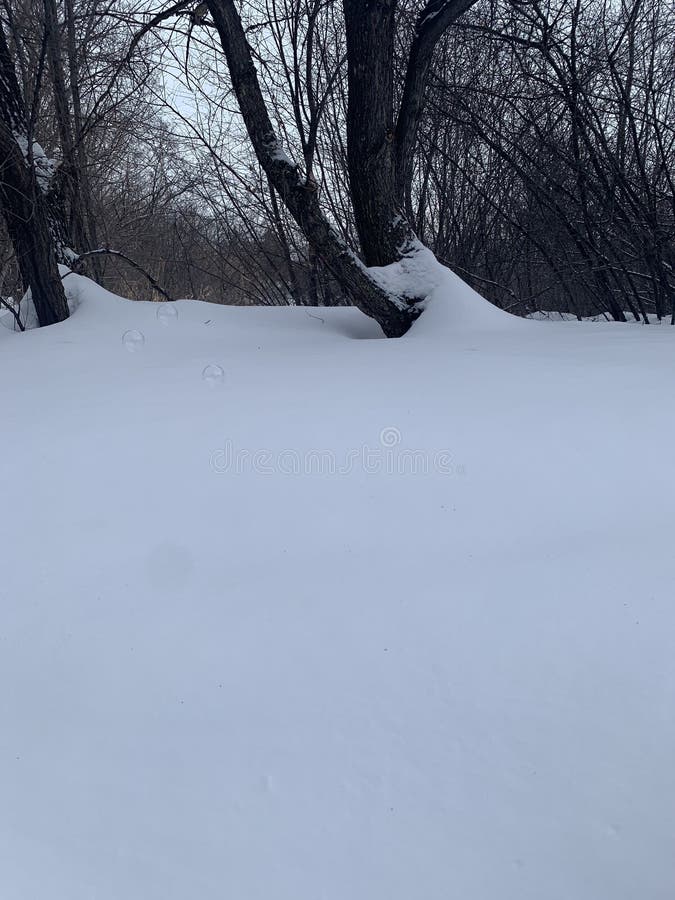 Winter mood with an transparent soap bubble on snow with white and gray background. Soap snowflake stock images, royalty-free photos and pictures