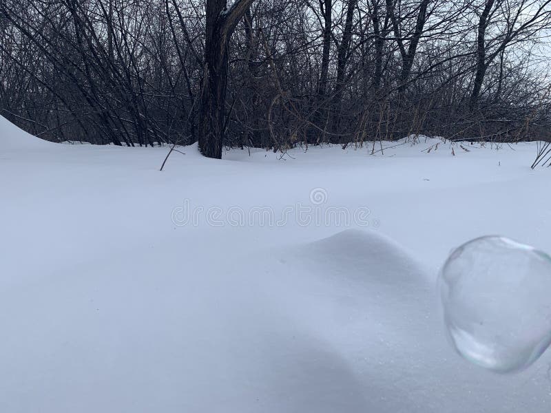 Winter mood with an transparent soap bubble on snow with white and gray background. Soap snowflake stock images, royalty-free photos and pictures