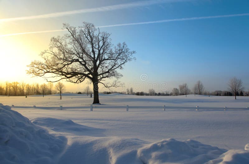 Winter morning