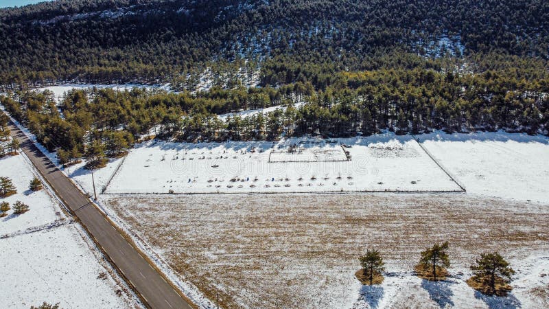 Winter mountain and hillside landscape, drone aerial view with snow, patterns, shapes and trees