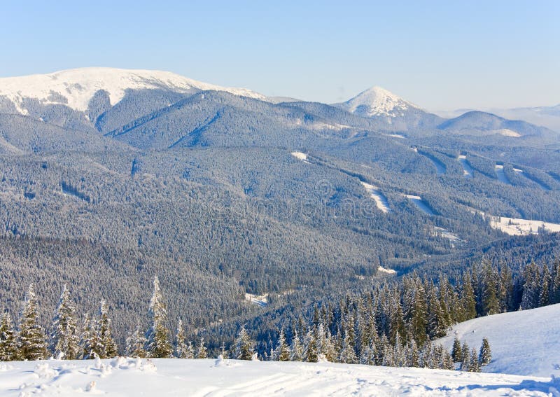 Winter calm mountain landscape with rime and snow covered spruce trees and alpine skiing tracks cuttings in a forest. Winter calm mountain landscape with rime and snow covered spruce trees and alpine skiing tracks cuttings in a forest