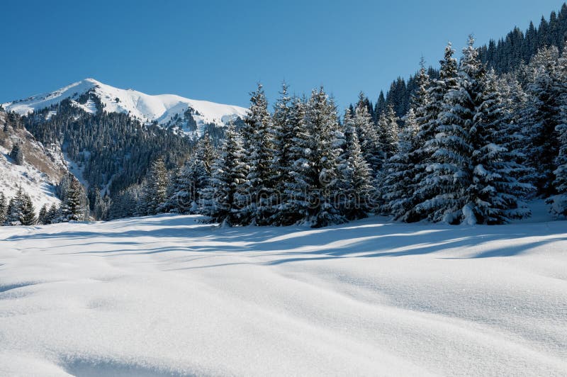 Winter mountain landscape