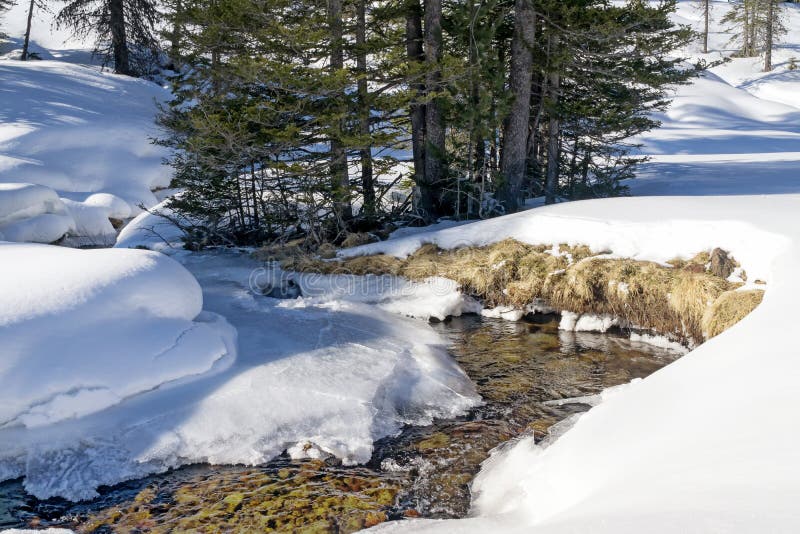 Winter mountain landscape with a stream.