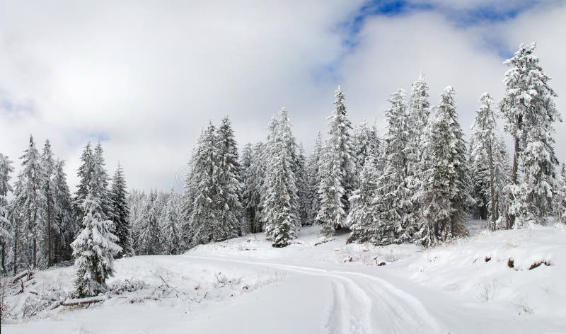 Winter mountain panorama