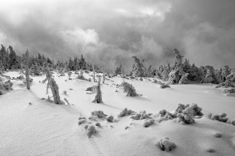 Winter mountains