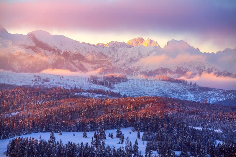 Winter mountains. Beautiful landscape with snowy summits in pink morning sunlight.