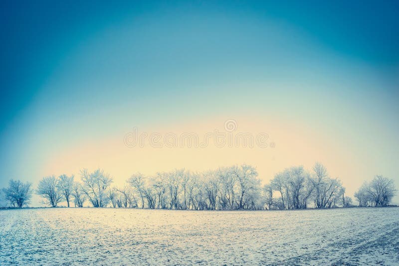 Winter nature landscape background with snow, field and trees covered with hoar frost and blue sky royalty free stock images Winter nature landscape background with snow, field and trees covered with hoar frost and blue sky royalty free stock images
