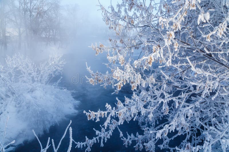 Winter Nature Landscape Frosty Trees On River Side Winter Morning