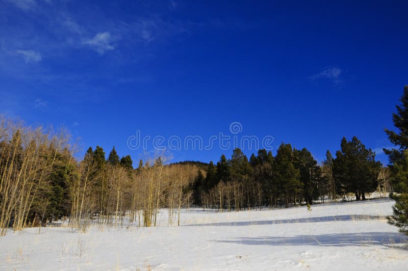 Winter in New Mexico stock image. Image of meadow, trees 12204583
