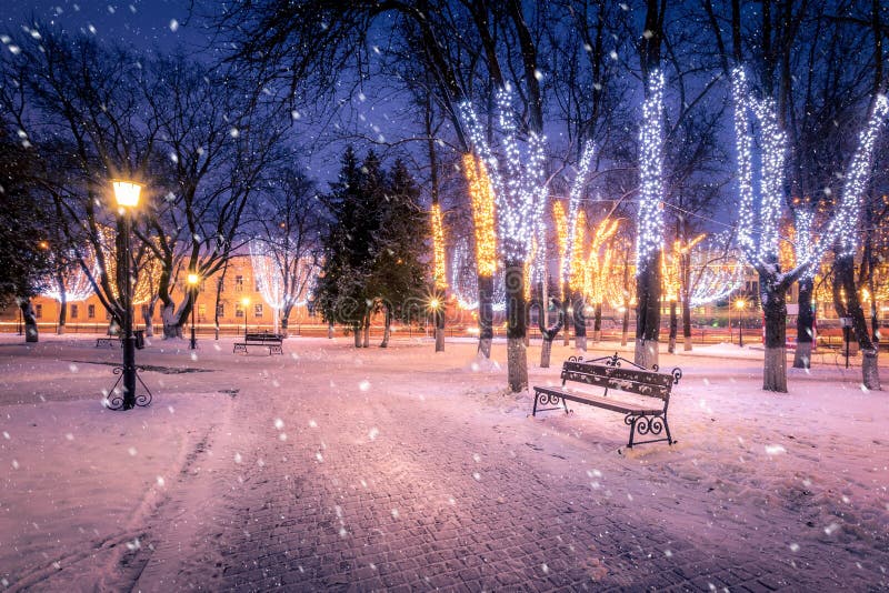 Winter Night Park with Lanterns and Christmas Decorations in Snowfall Stock Image Image of