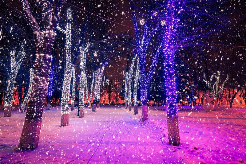 Winter Night Park with Lanterns and Christmas Decorations in Snowfall Stock Image Image of