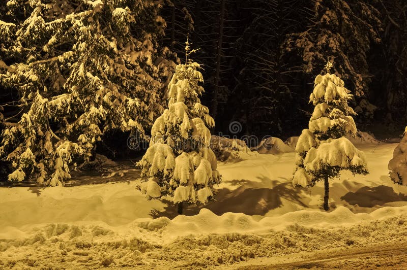 Winter Night View Landscape Stock Image Image of beautiful