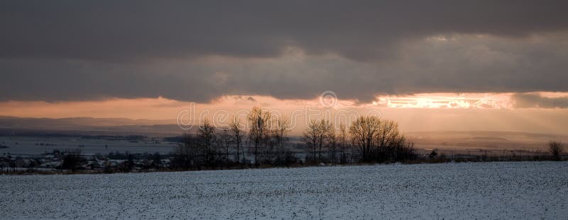 Winter panorama