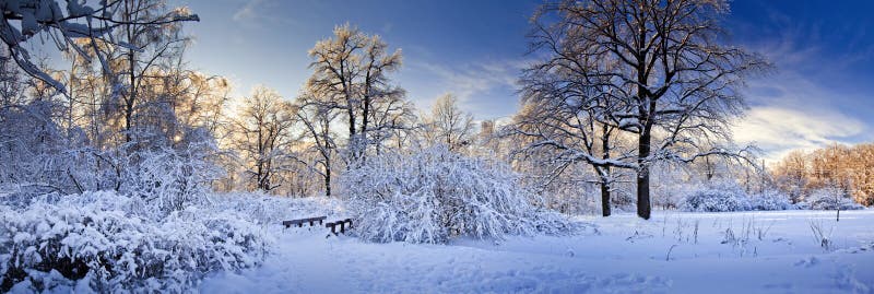 Panorama invernale di un parco sotto la neve al sole.