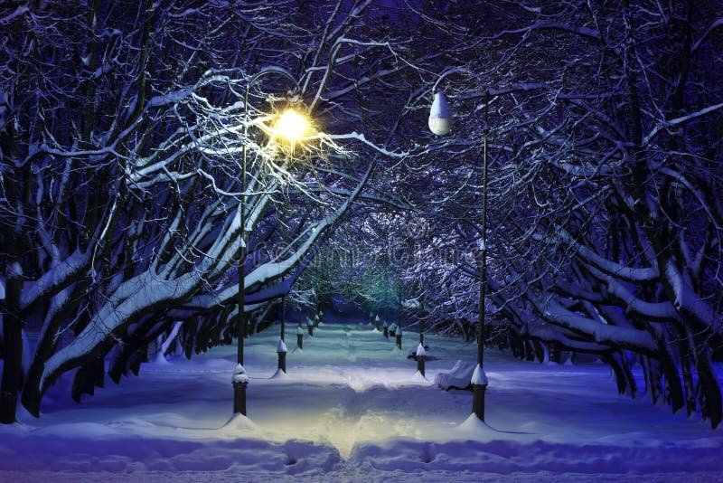 Winter park night scene