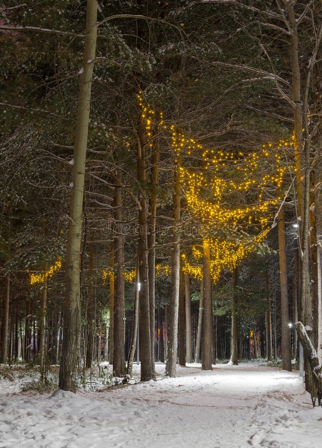 Winter park by night stock photos Winter park by night stock photos