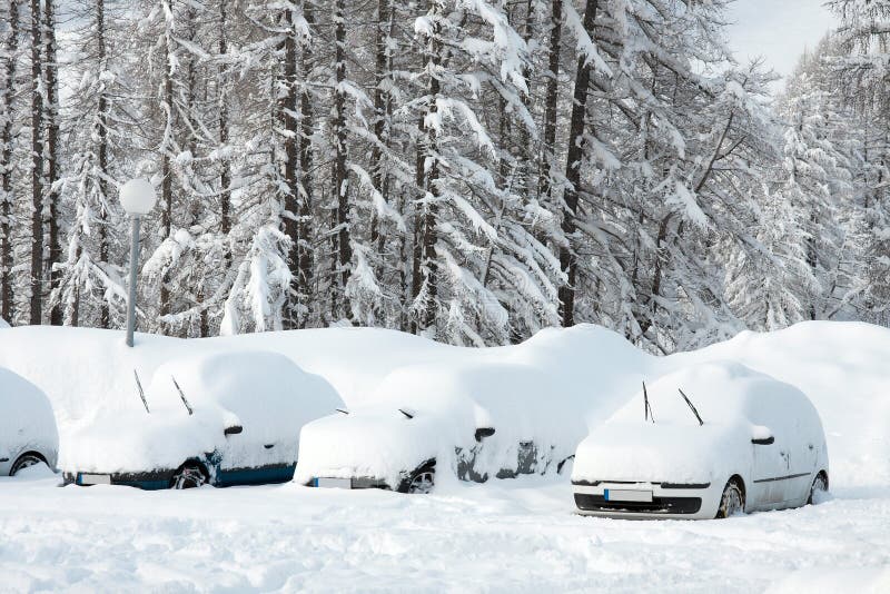 Winter parking stock image. Image of park, cars, pine 11988747