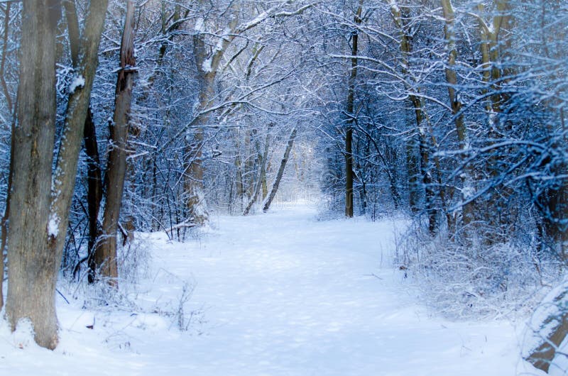 Chronicles of Narnia, snow, lamp, post, aslan, ice, HD phone